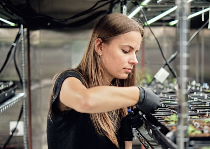 heritable culture site