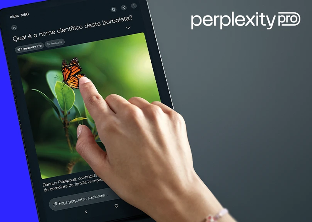 meo perplexity ai site