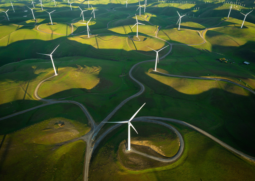 meta energia renovavel site