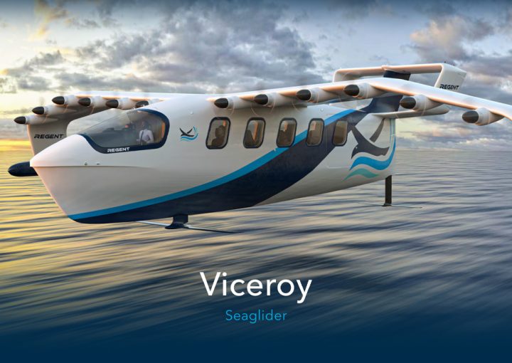 viceroy site